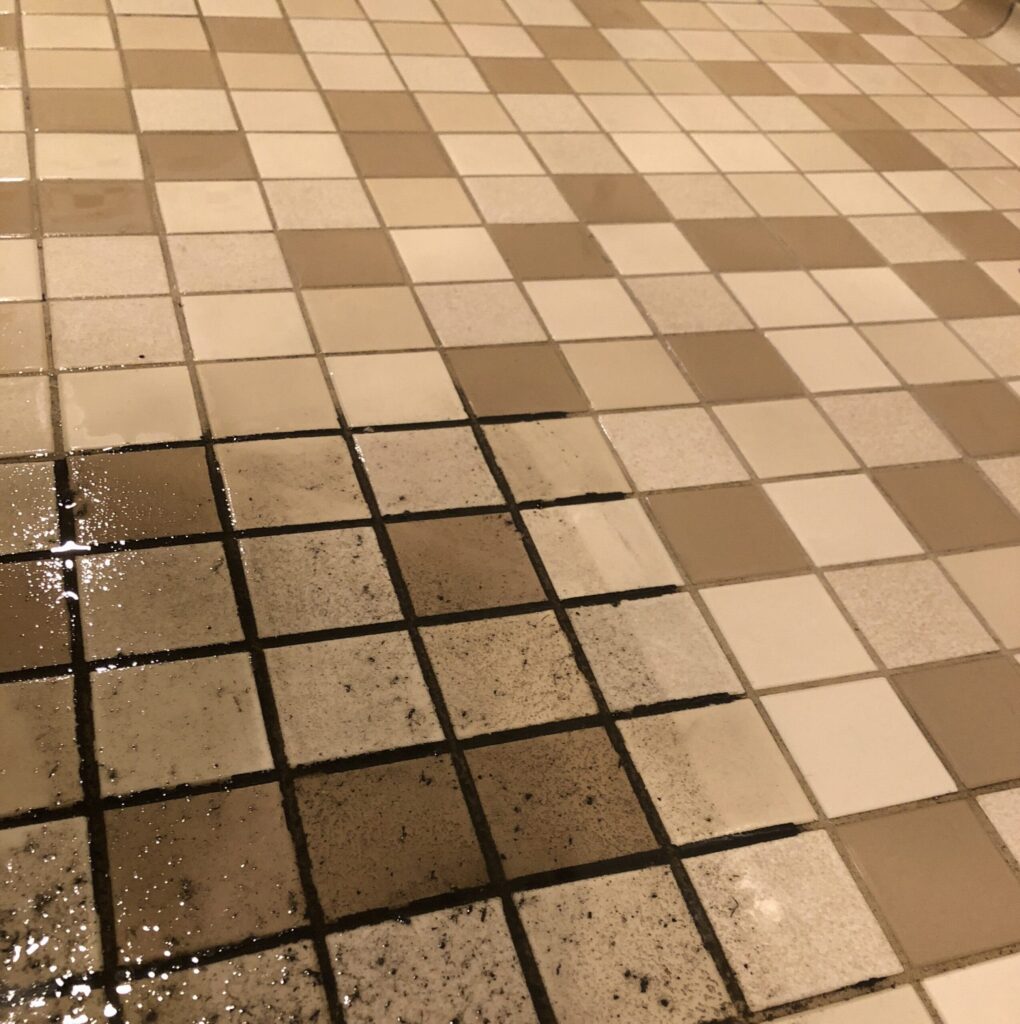 tile and grout cleaning services