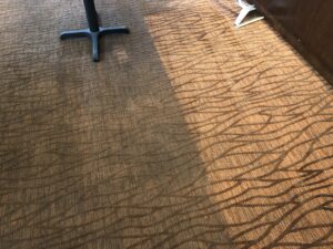 carpet floor cleaning