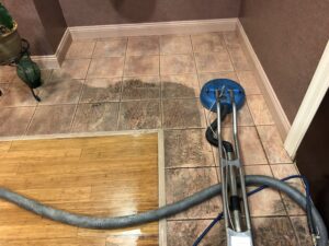 tile cleaning