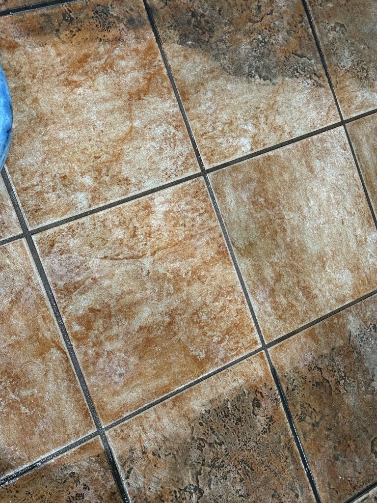 Tile and grout cleaning progress